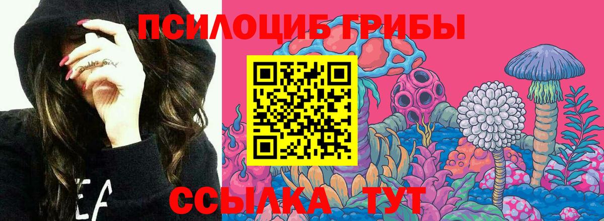 Галлюциногенные грибы MAGIC MUSHROOMS Бор