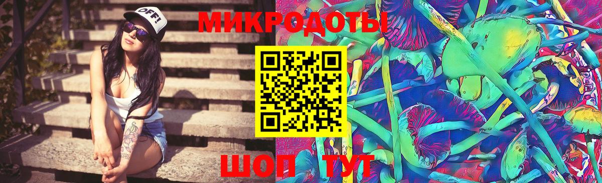 Бор  Псилоцибиновые грибы Cubensis  Вход с VPN 